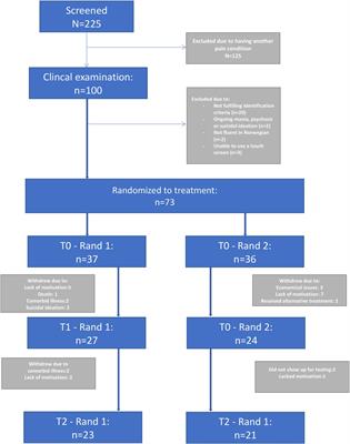 MINDflex Training for Cognitive Flexibility in Chronic Pain: A Randomized, Controlled Cross-Over Trial